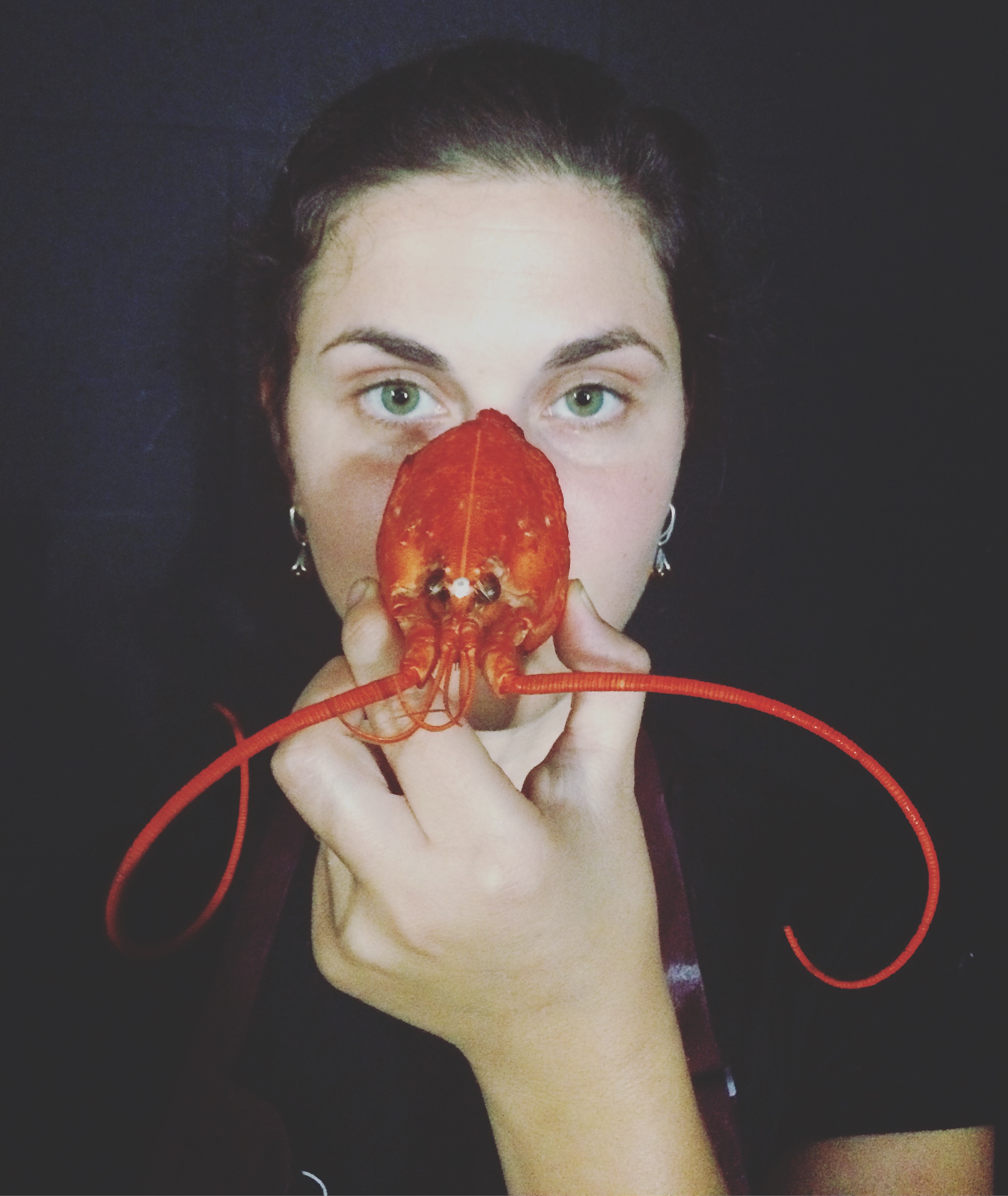 Health Journey Part 5 - Streamlining