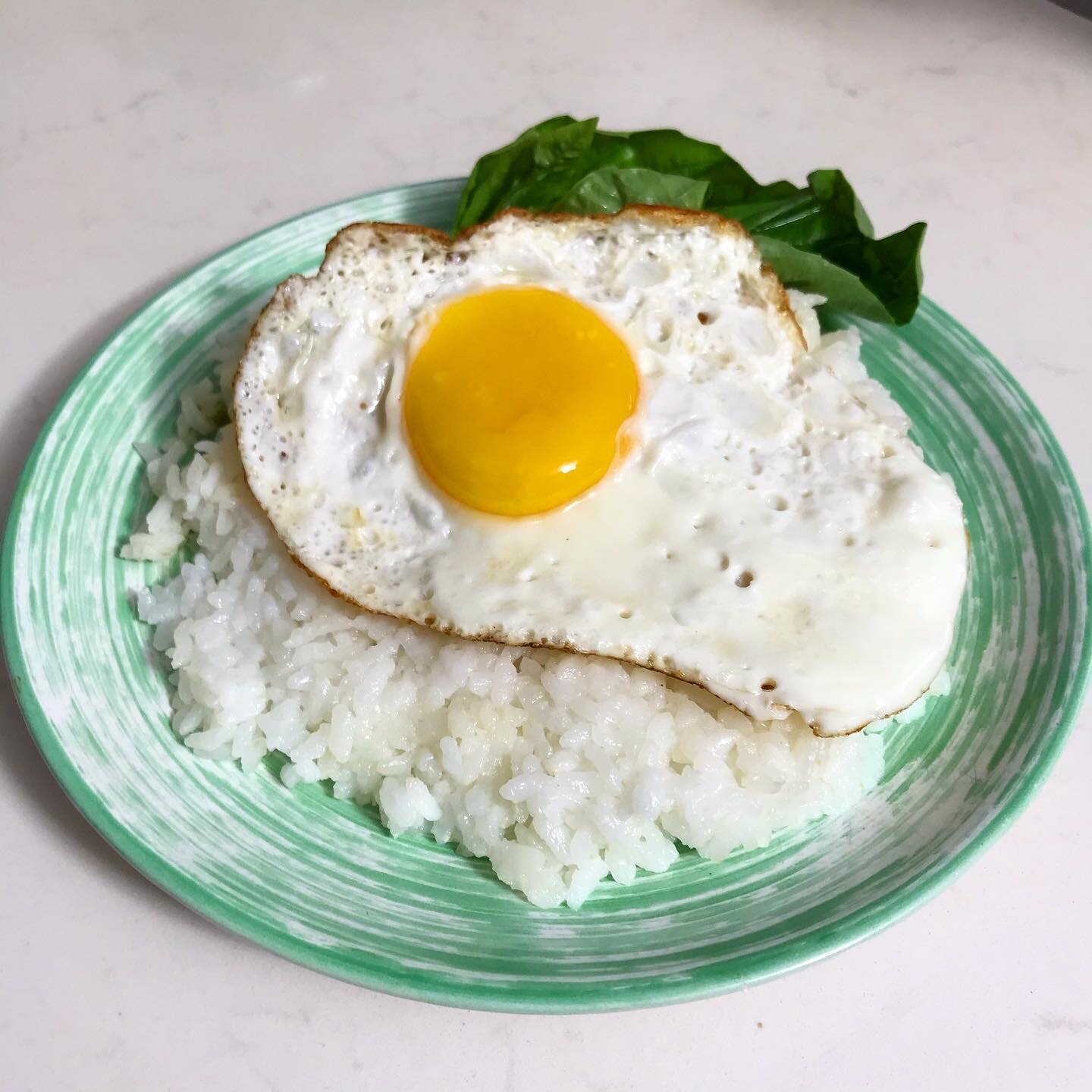 Fried Egg and Rice