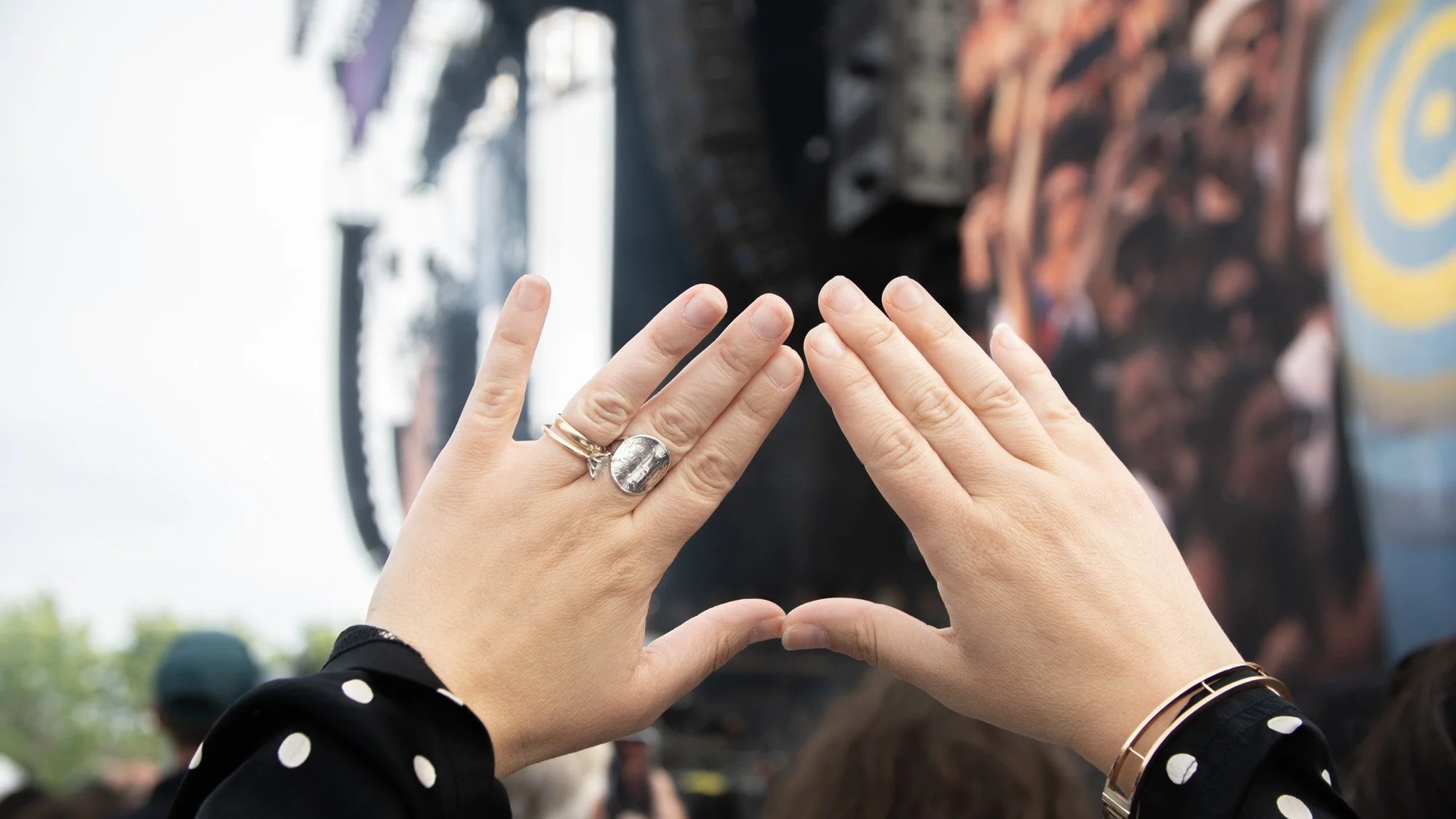 Bluesfest 2026 - Angine de Poitrine.jpg