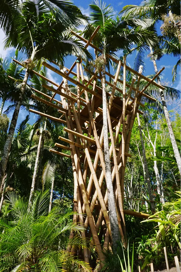 torre4.jpg