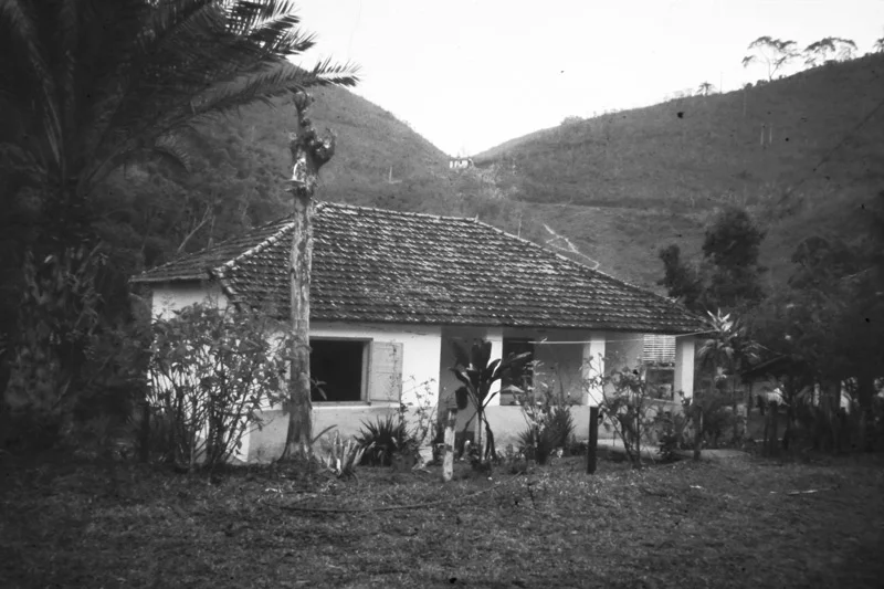 pretiba1.jpg