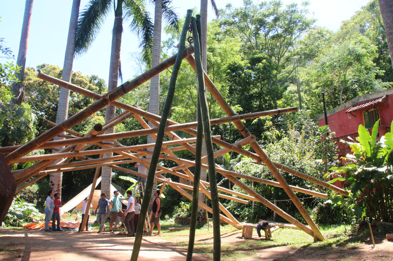 bambu31.jpg