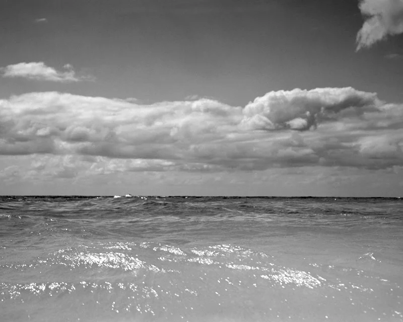 MEXI_2015_001.jpg
