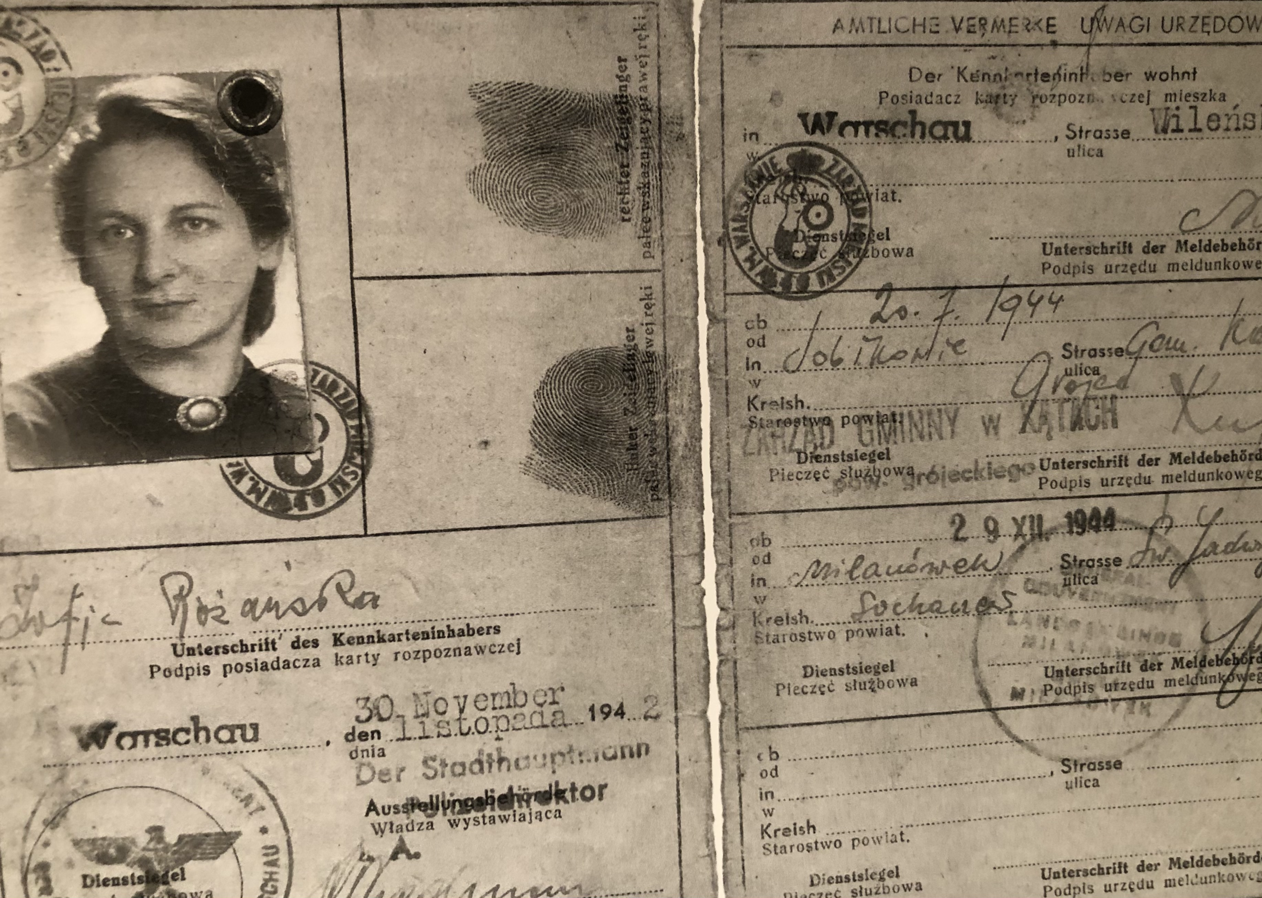 My mother's fake identity card during WWII