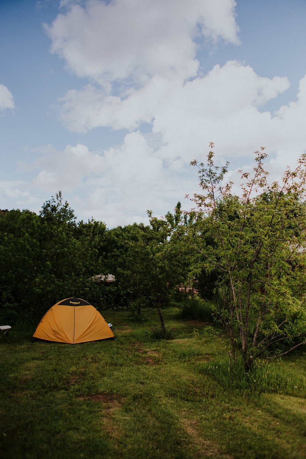  The dress theme for the whole wedding celebration was rainbows - their guests dressed in one color head to toe as part of the theme. The wedding reception at the ranch was near the orchard by the acequia, and was lit by candles and solar lights prim