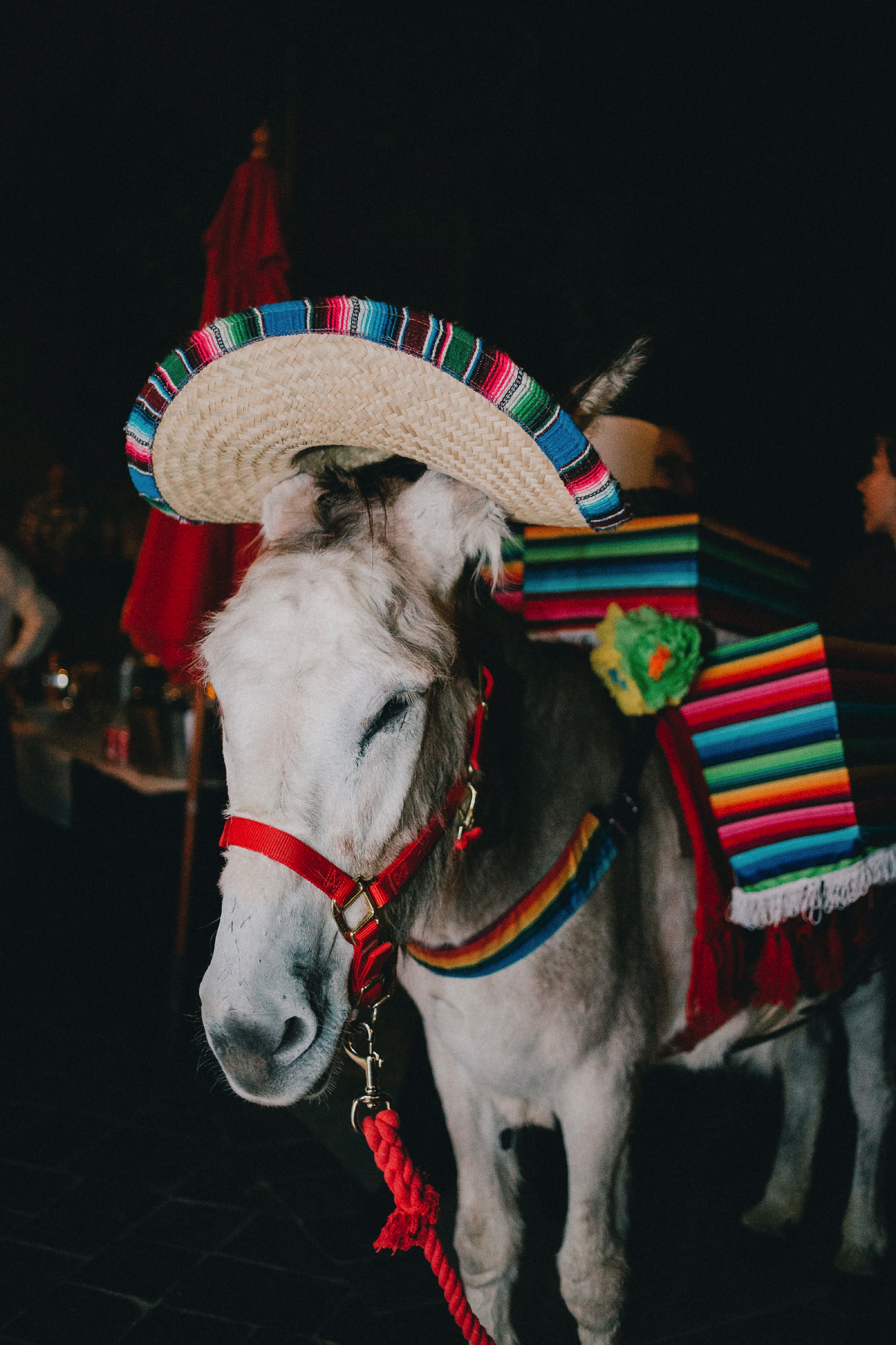  Katie and Frankie’s wedding was what Santa Fe summer wedding dreams are made of! They had a gorgeous catholic wedding ceremony at the Cristo Rey Catholic Church in Santa Fe, New Mexico followed by a fabulous travel-themed wedding reception at La Pos