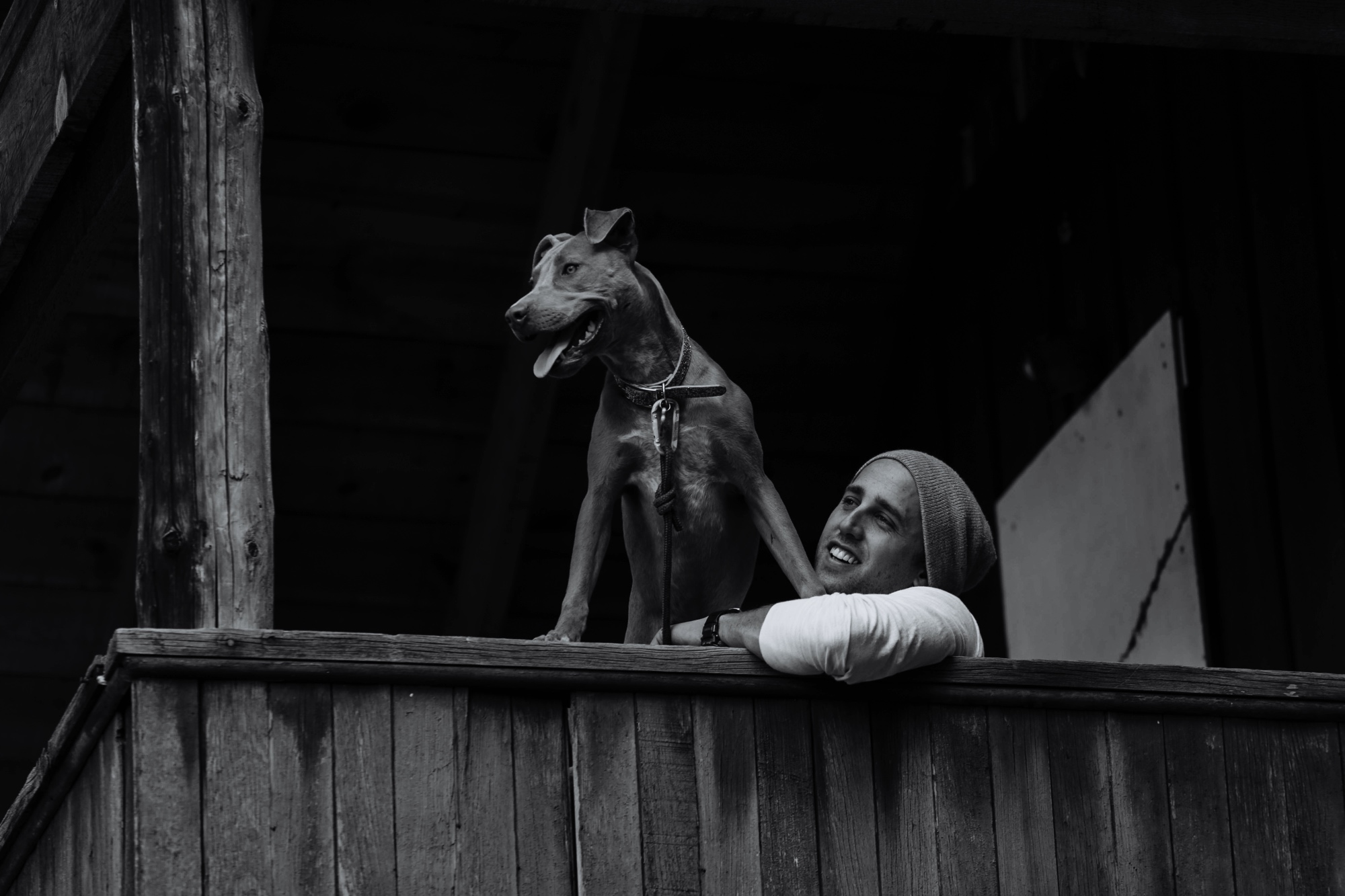  Kymbrye and Chris brought their pups, Myridian and Bandit along for their shoot and they are seriously the sweetest model dogs ever! They all looked so picture perfect together for some insanely beautiful family photos at Carlitos Springs in Cedar C