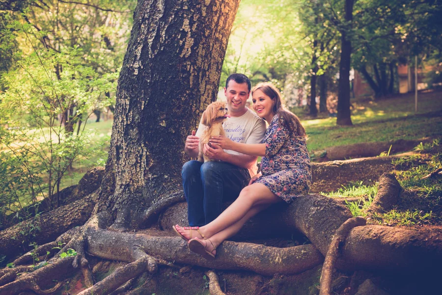Cãezinhos marcando presença