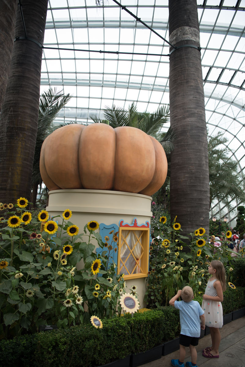 flower dome-14.jpg