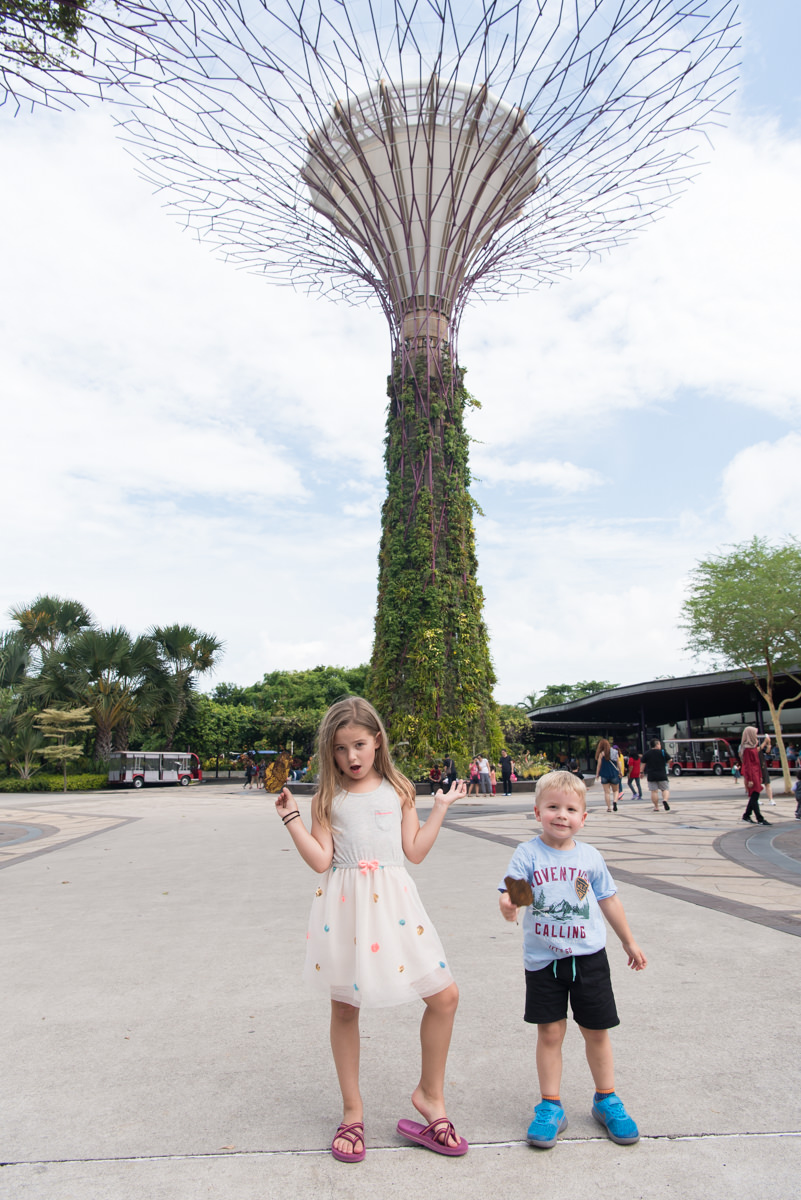 gardens by the bay.jpg