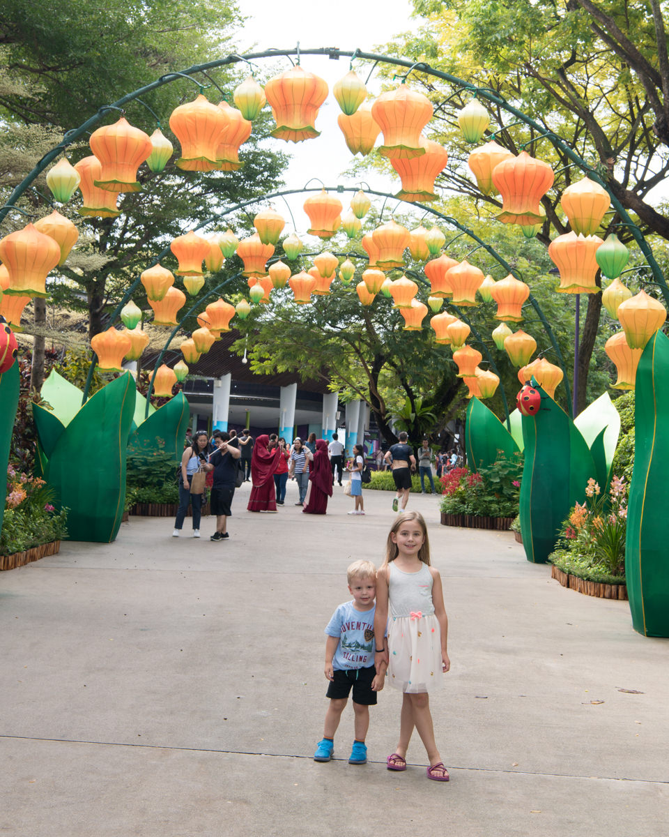 gardens by the bay-2.jpg