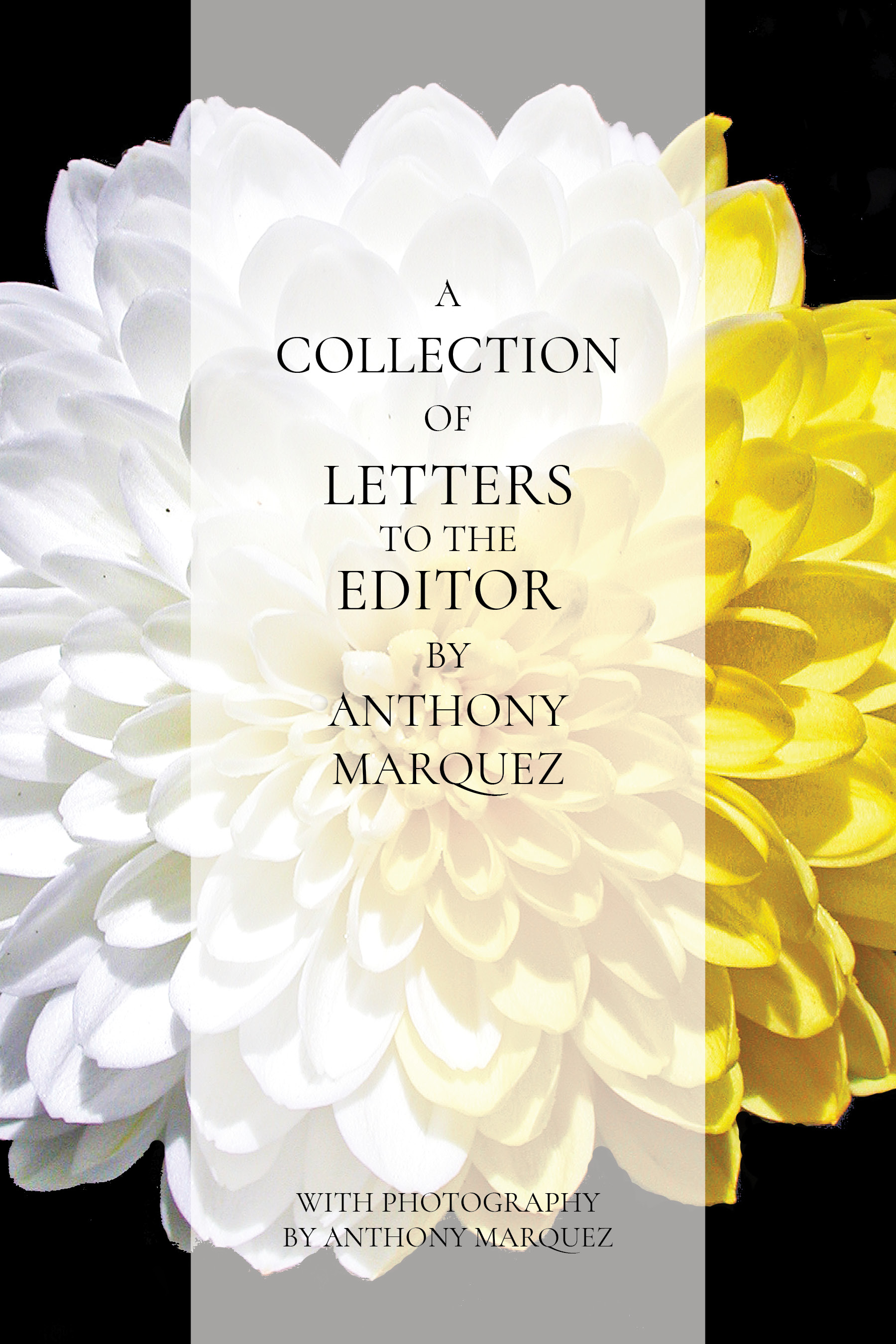 Letters to the Editor Comp 12.8.jpg