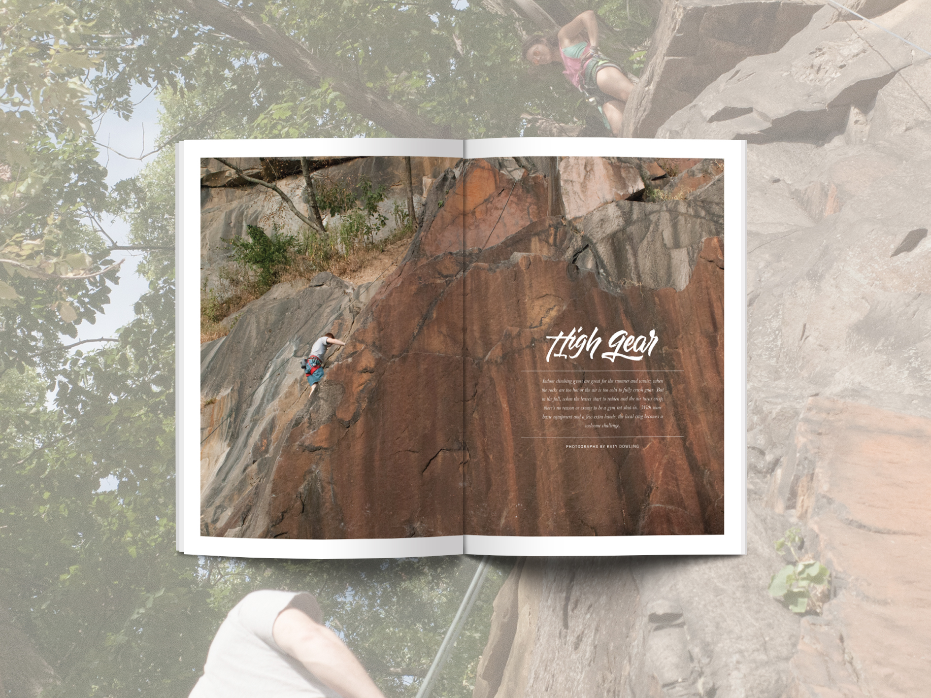 spread for web 2.jpg