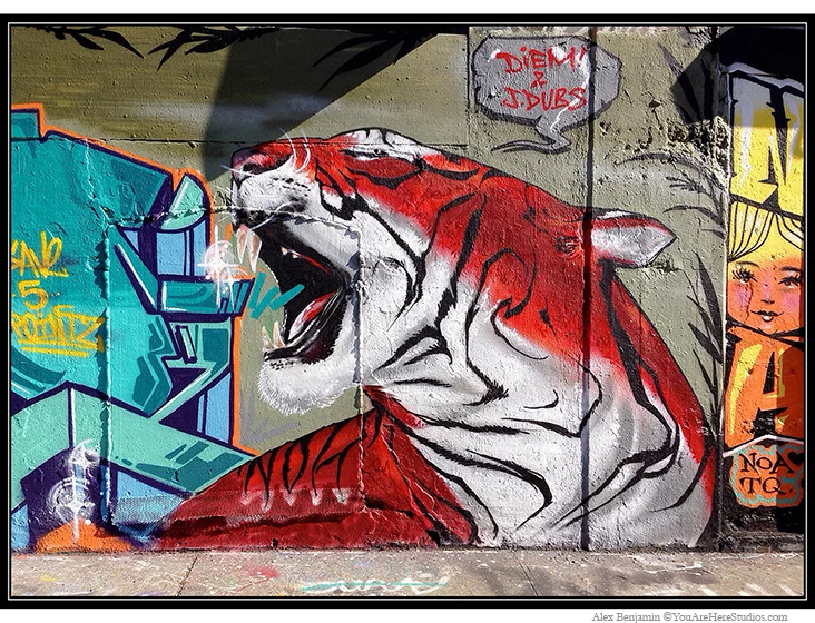 Tiger
