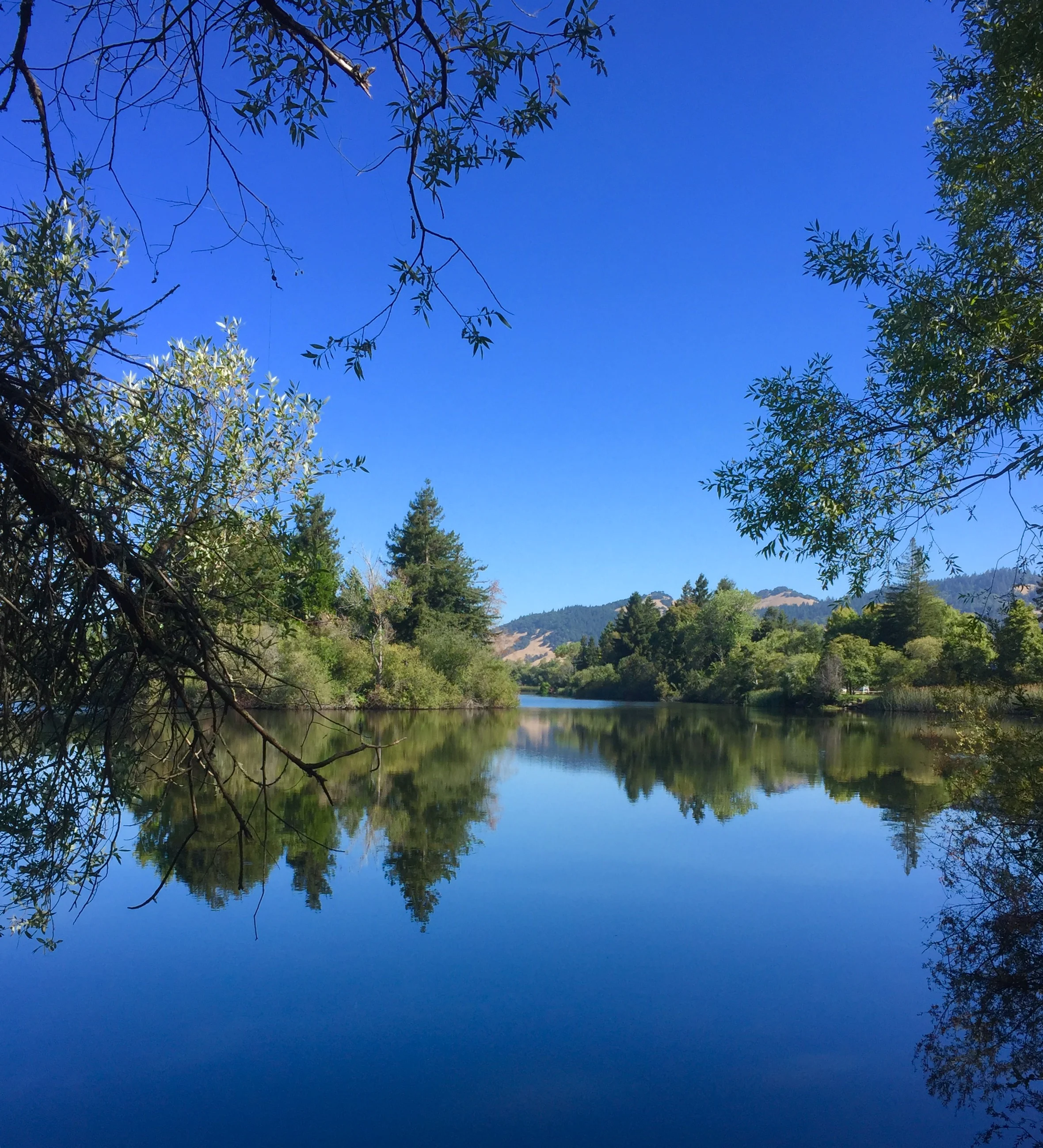 Spring Lake, Santa Rosa, CA Summer 2016