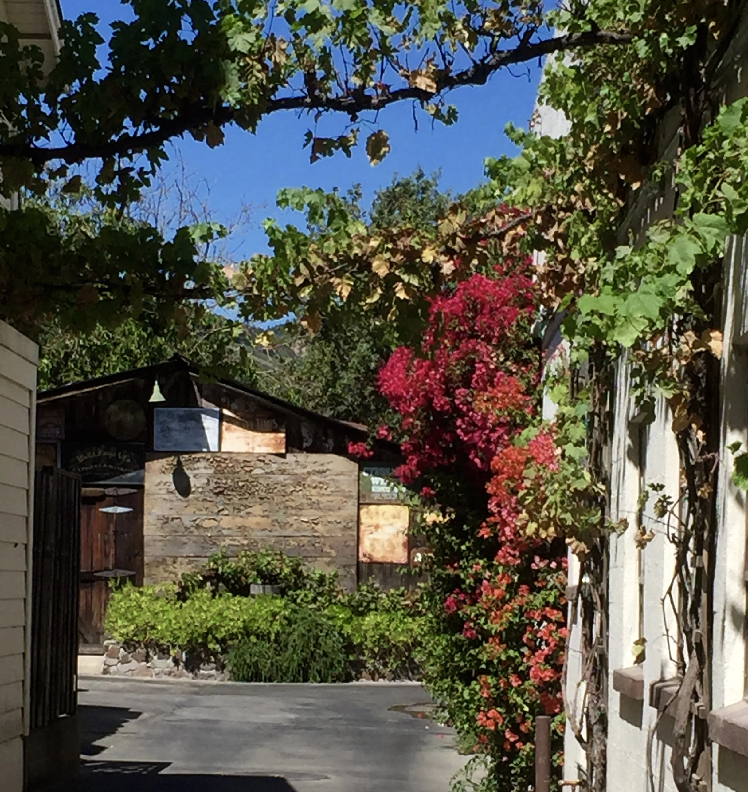 Sonoma alley