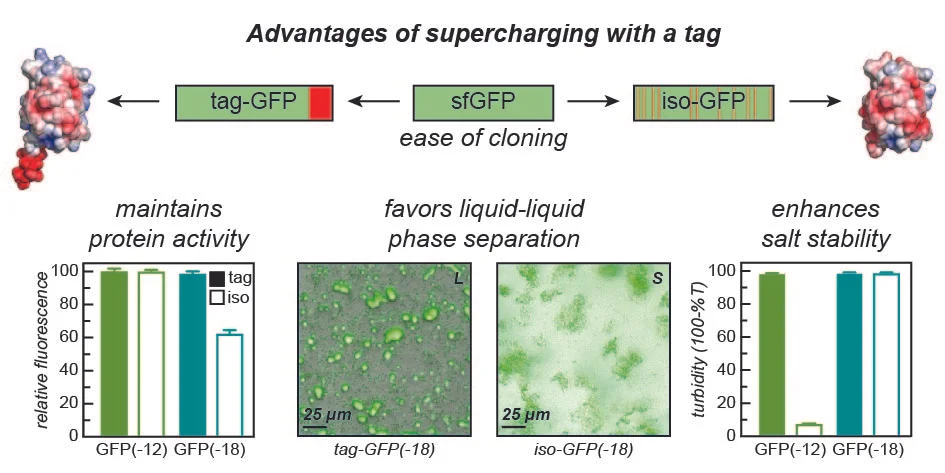 2018 Kapelner Chemical Science _TOC Image.jpg