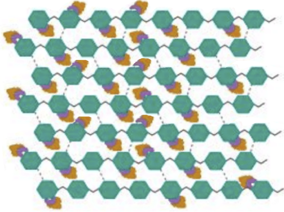 Group Meeting - Brittany Practice 4th Year Talk