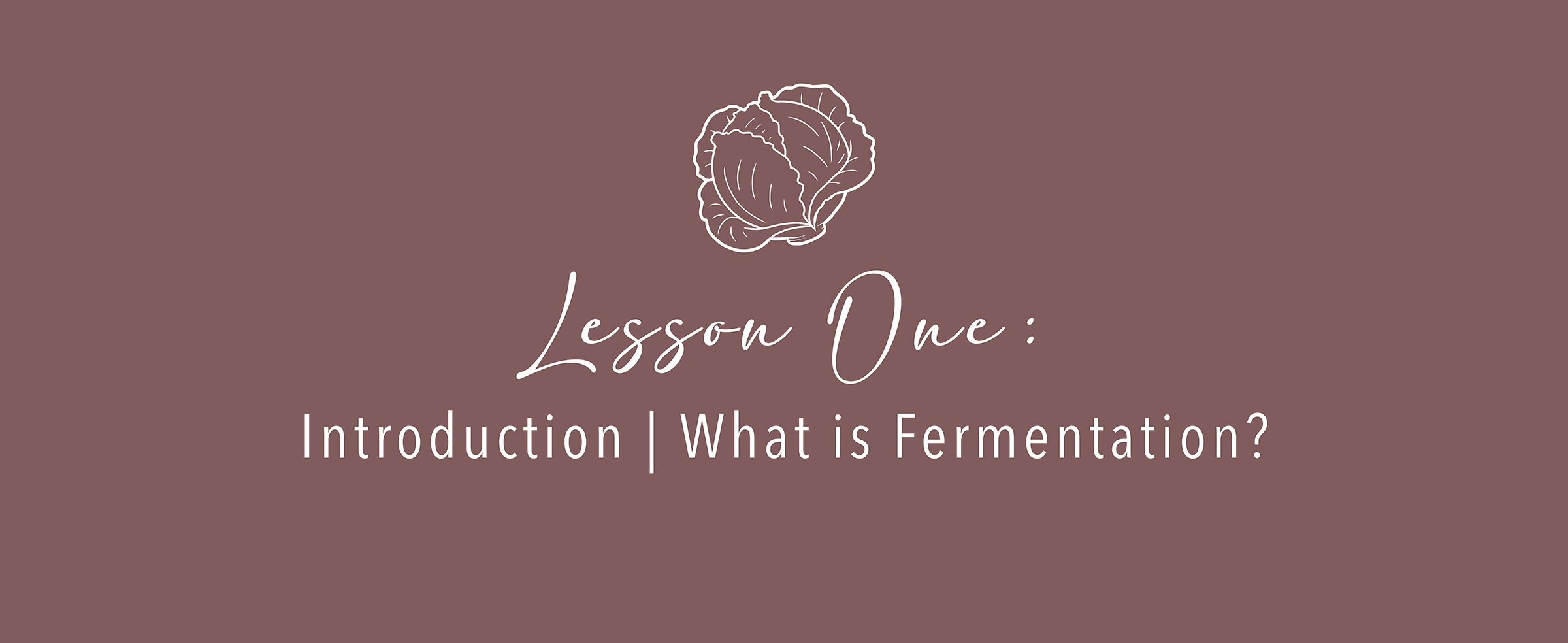 fermentation_Lesson1.jpg