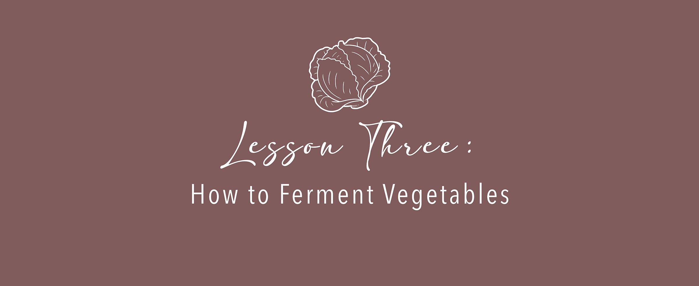 fermentation_Lesson3.jpg