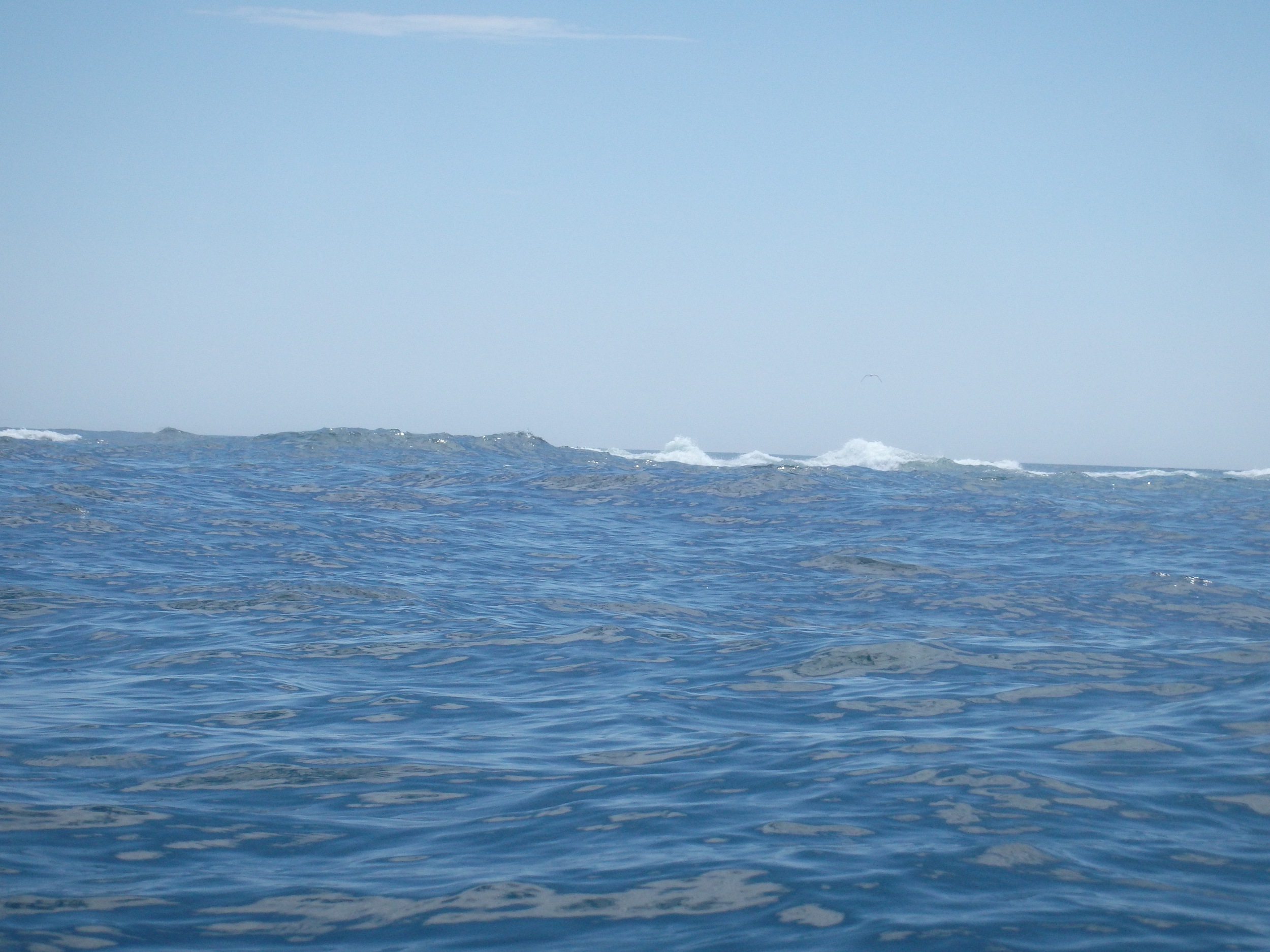 Green Island Seal Ledge