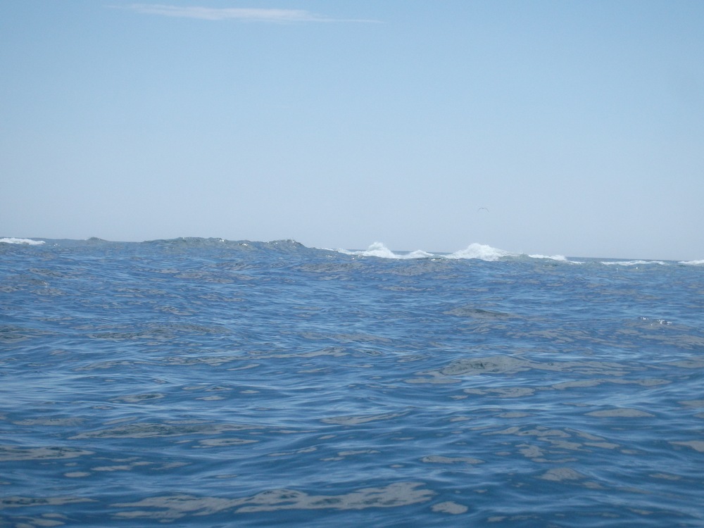 Green Island Seal Ledge