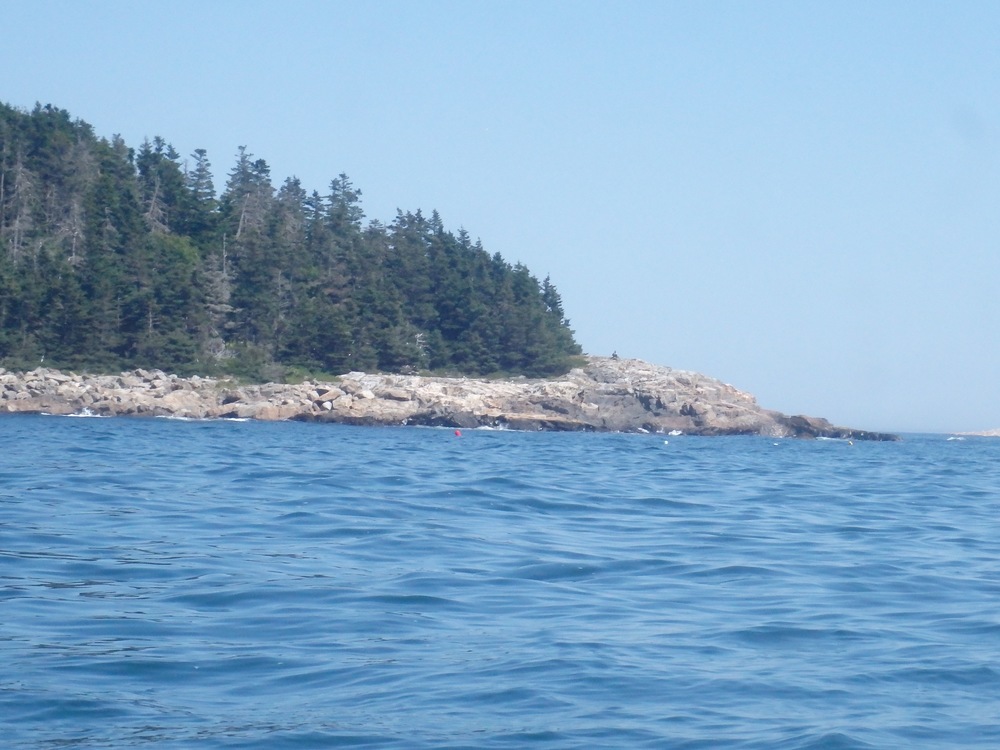 Southern tip of Matinicus Island