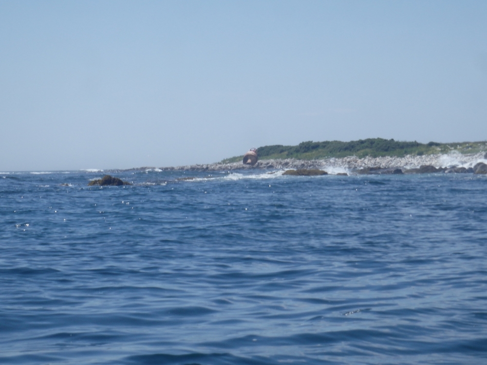 Buoy on Little Green