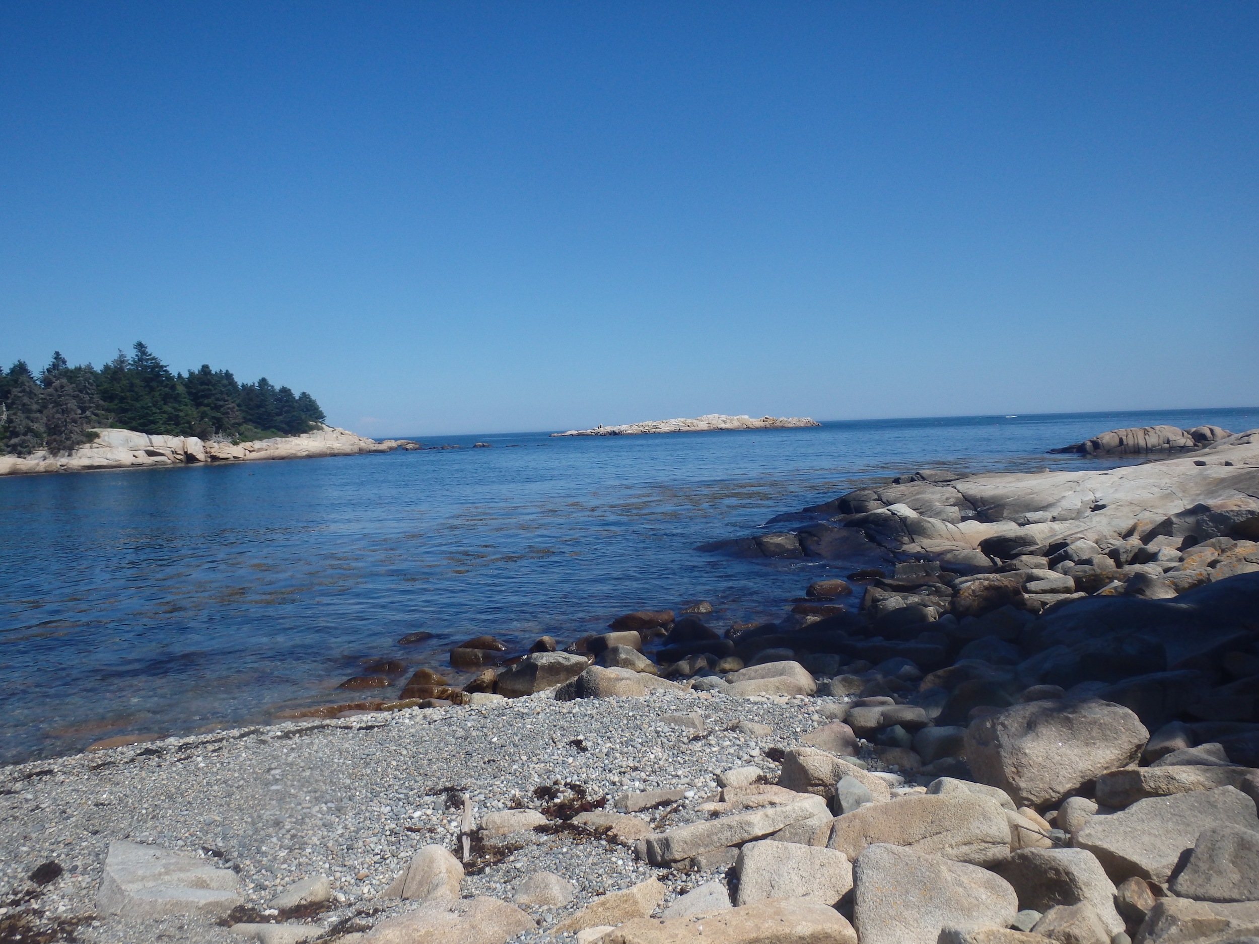 Seal Cove looking out