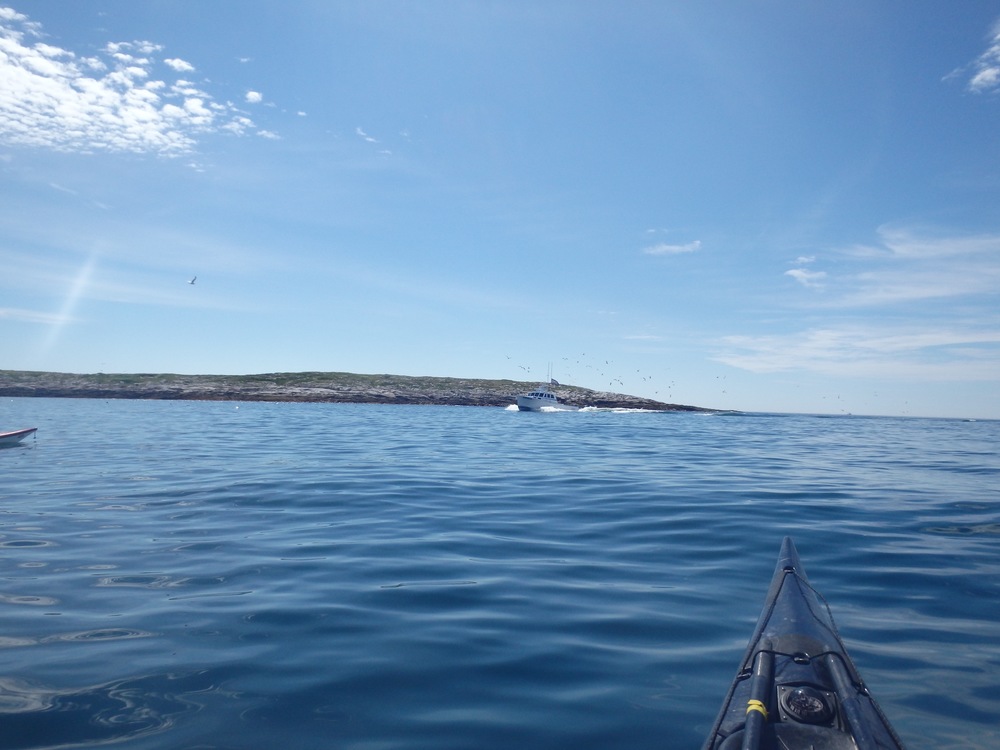 Lobster boat coming into Matinicus Harbor