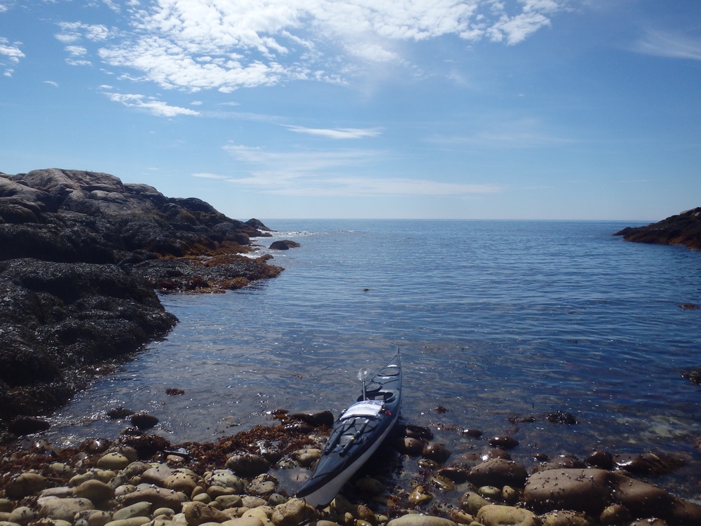 Looking out of Back Cove