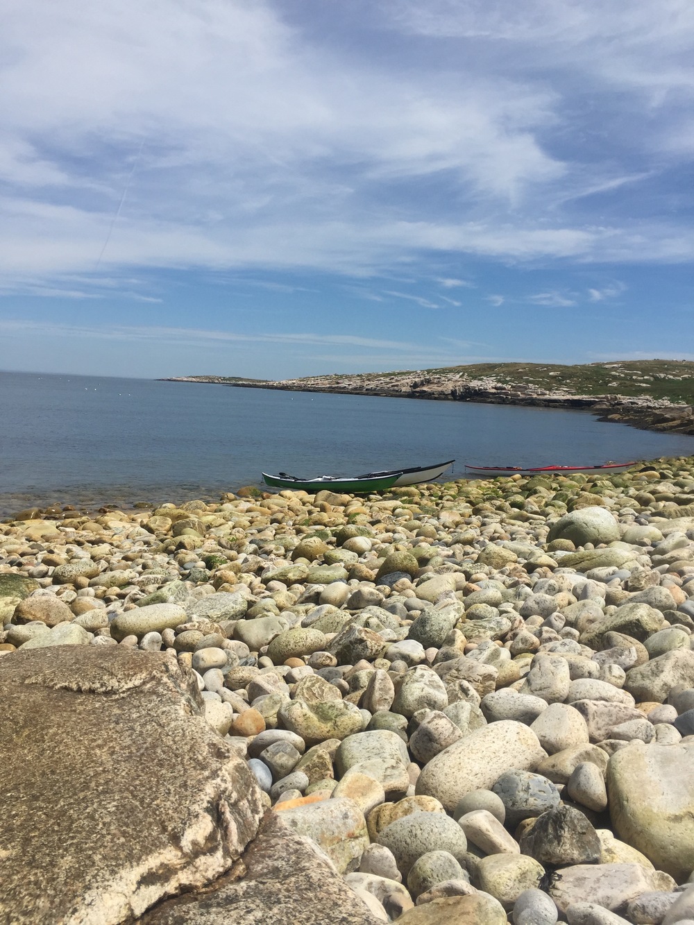 Lunch on Seal