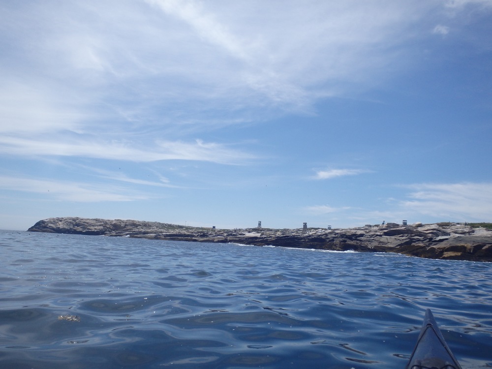 Bird huts on Seal