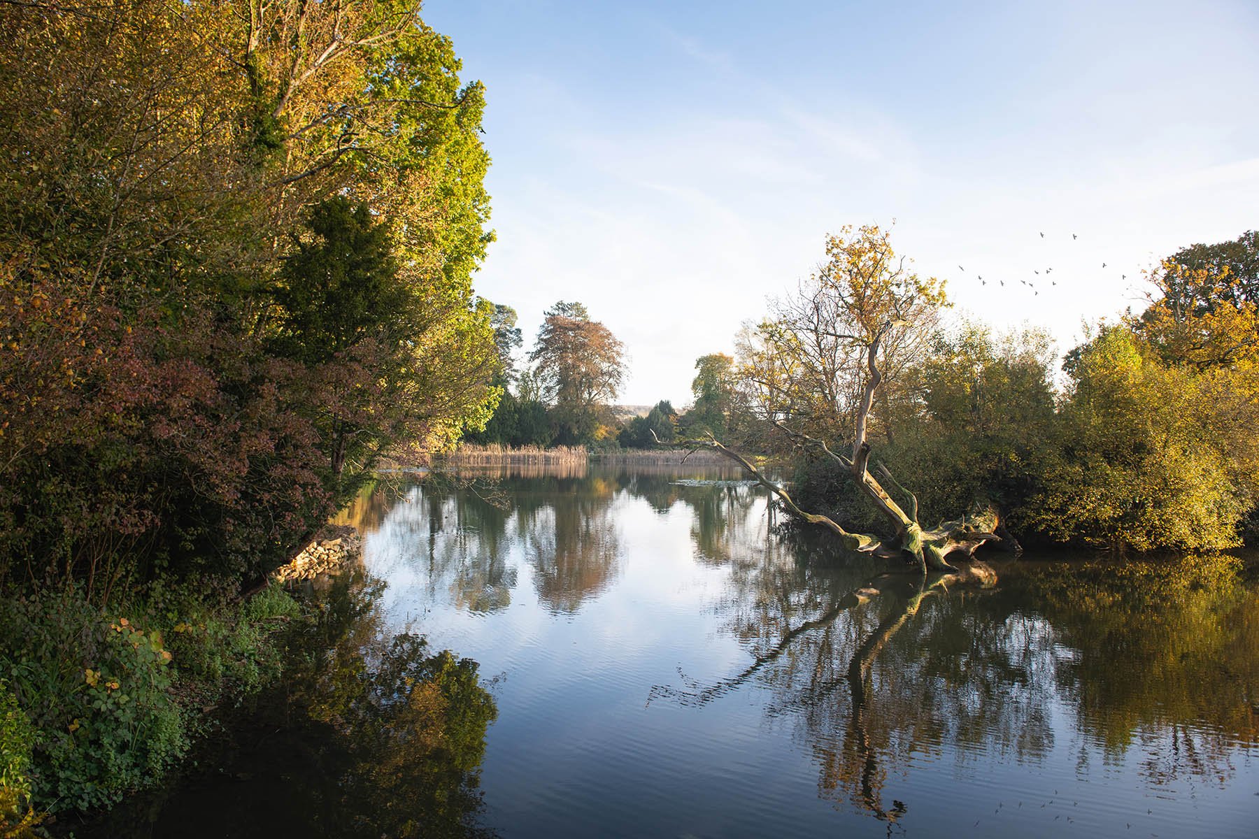 Castle_Web Res_010.jpg