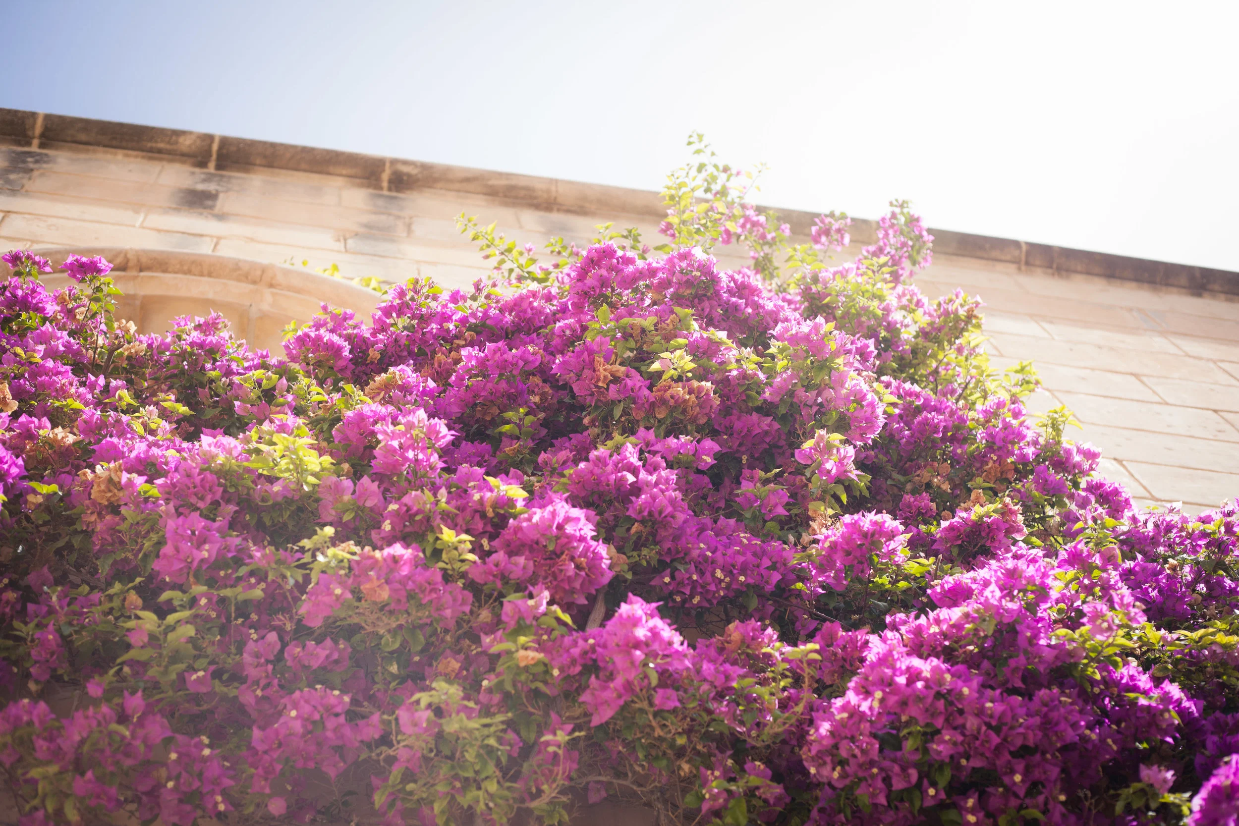 Mdina, MT