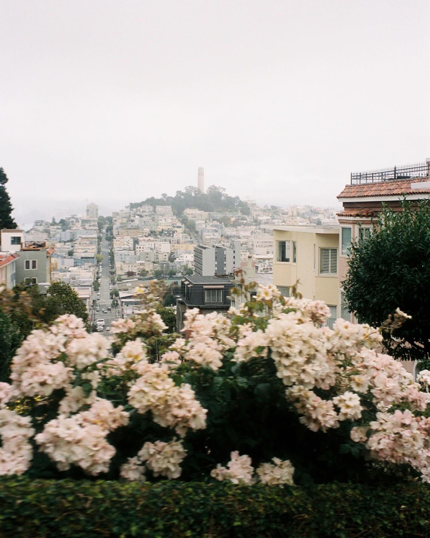 favorite views in sf 💌 on 35 mm 

#filmphotography #sanfrancisco #35mmfilm #portra400