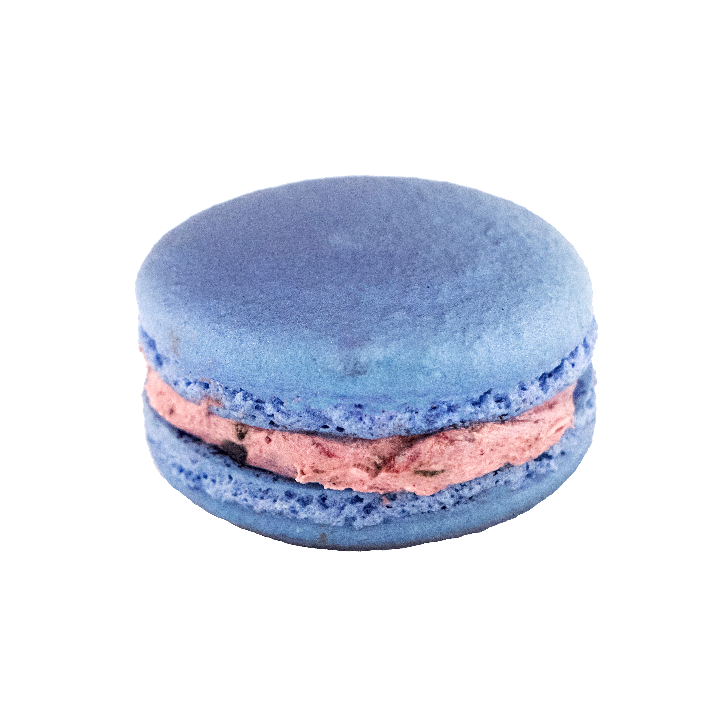 blueberry macaron.png
