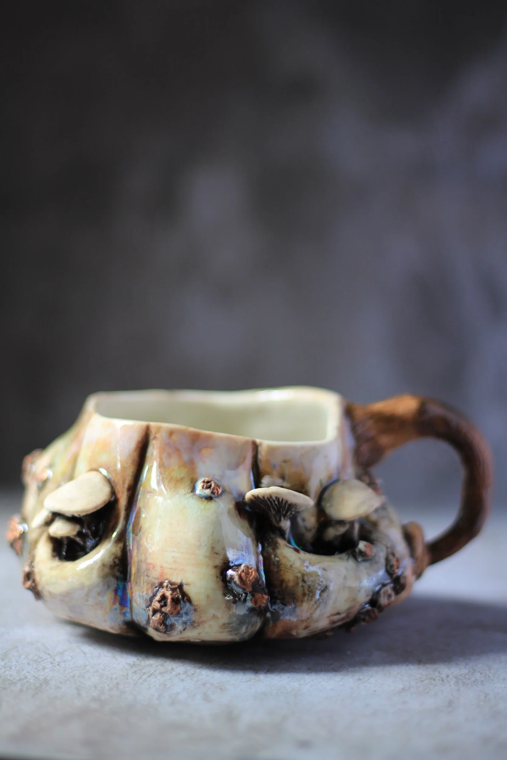 00BA4A6B-554B-477B-B095-5B3B51BC789C