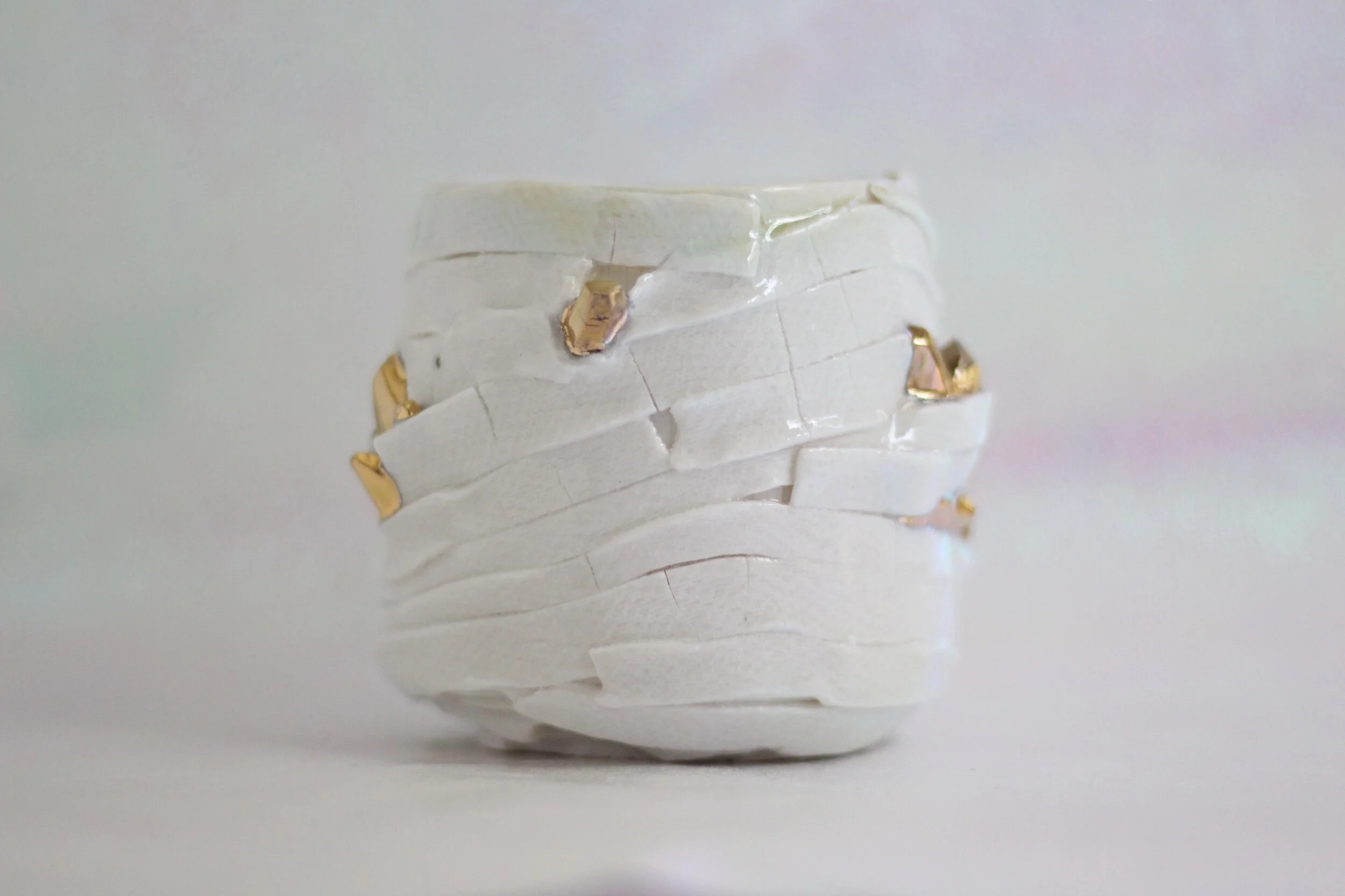 253950B1-1A84-4874-9D81-0CF41B6EC1AA