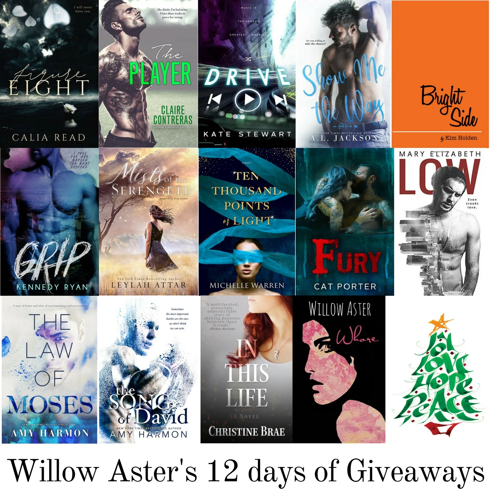 12 days of giveaway-2.jpg