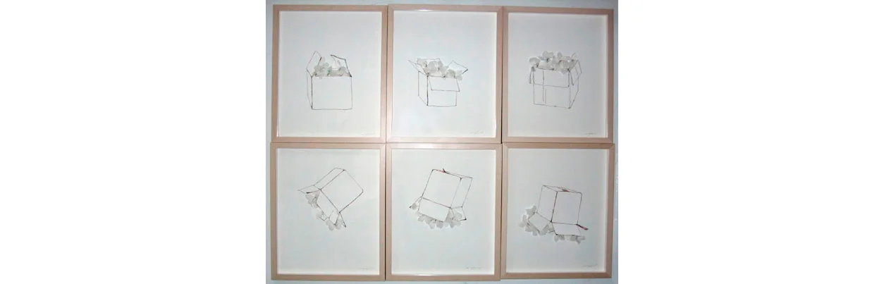 Flowers in the Box , Mat board ,ink, copper wire and flowers made of plastic from milk jugs, 18" x 15" each panel, 36" x 45" all