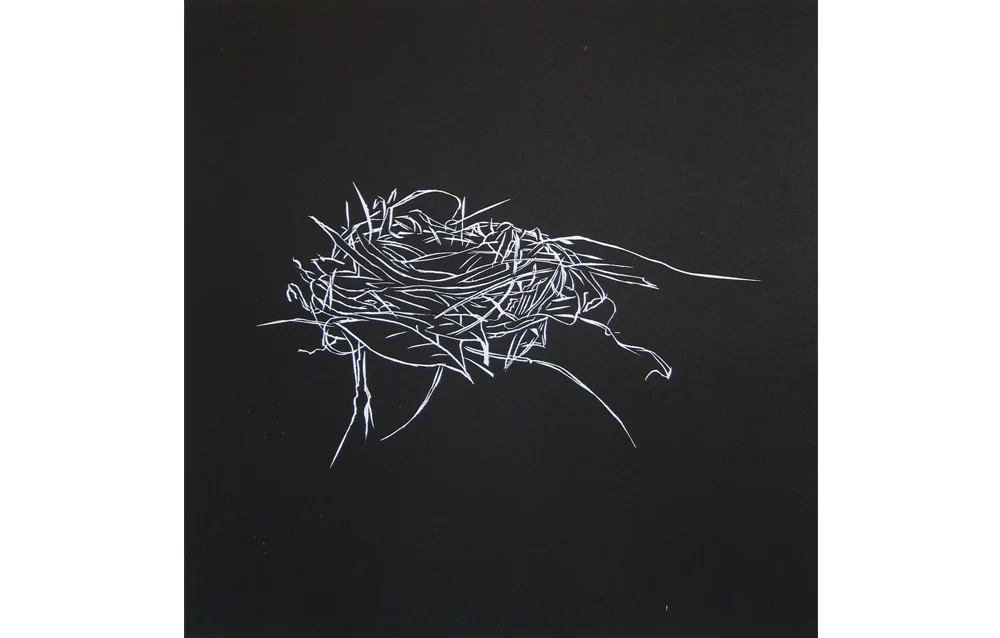 Nest 7 , Woodcut, 16.75" x 16.75"