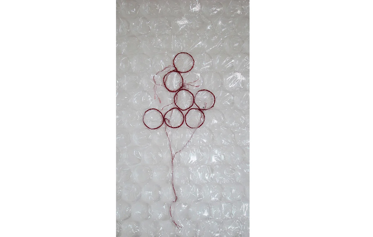 Capture Bubbles 3 , detail, embroidery thread on bubblewrap,15.5" x 6.5"