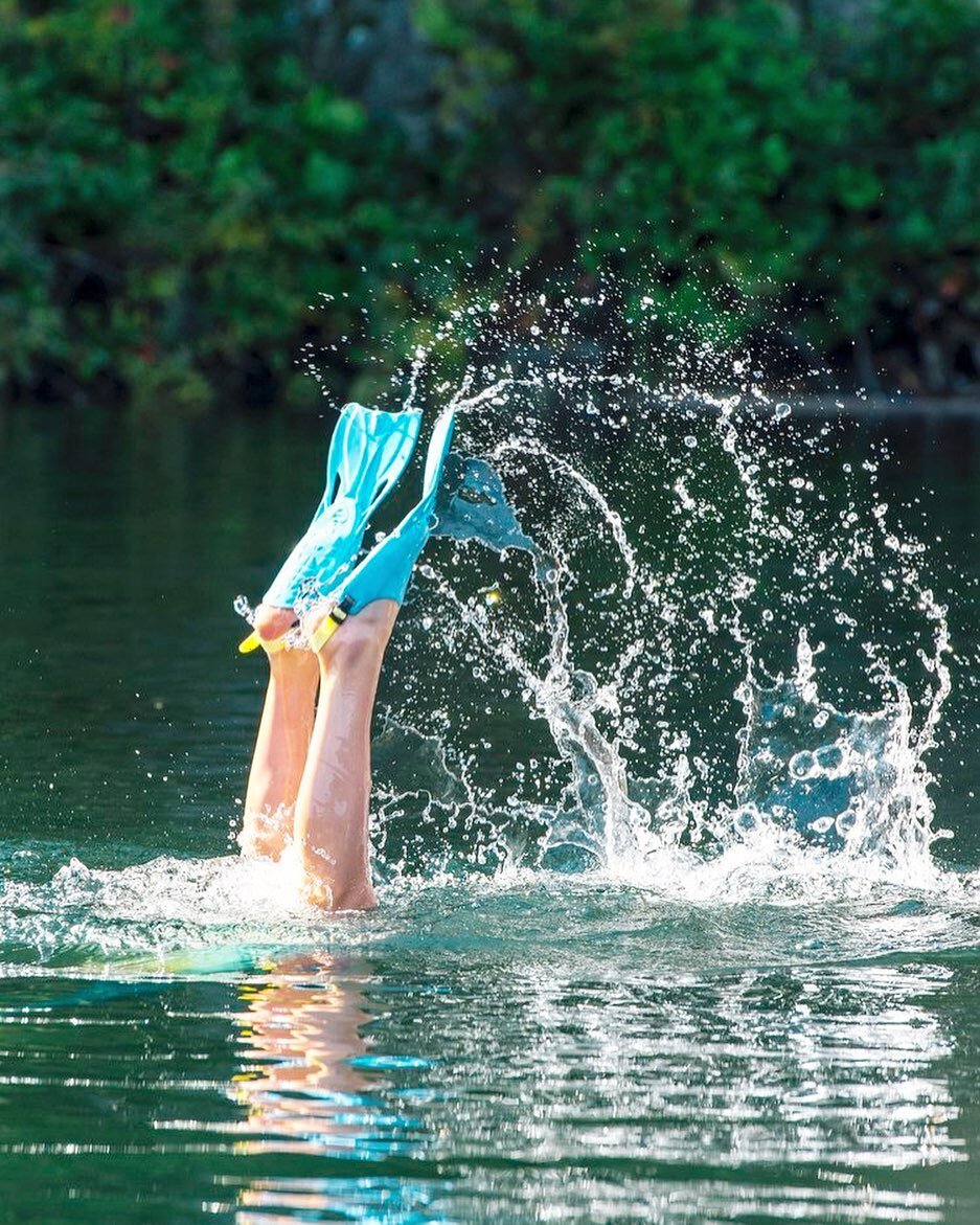 It&rsquo;s a little late in the season but I finally booked a cabin to do some official summer stuff soon! Some of my favorite summer things are: 
⭐️swimming with my feet together and pretending that I&rsquo;m a mermaid 
⭐️ watching dogs smile since 