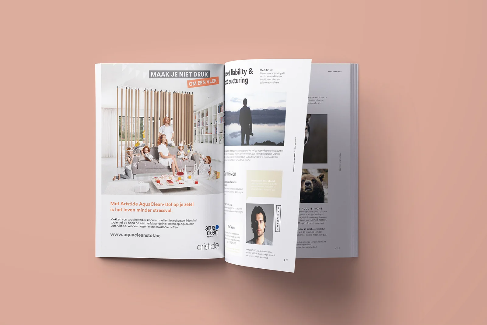 Aristide_brochure.jpg