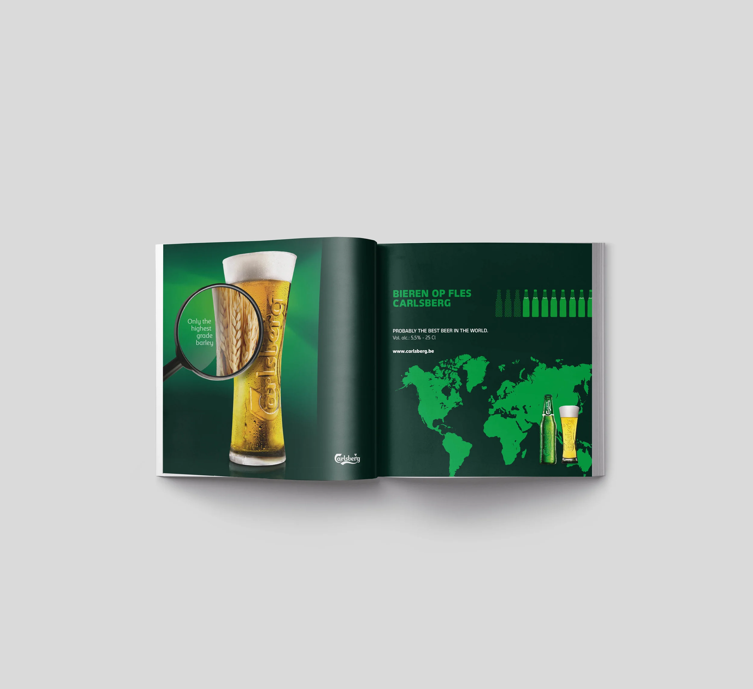Carlsberg_Salesbinder_5.jpg