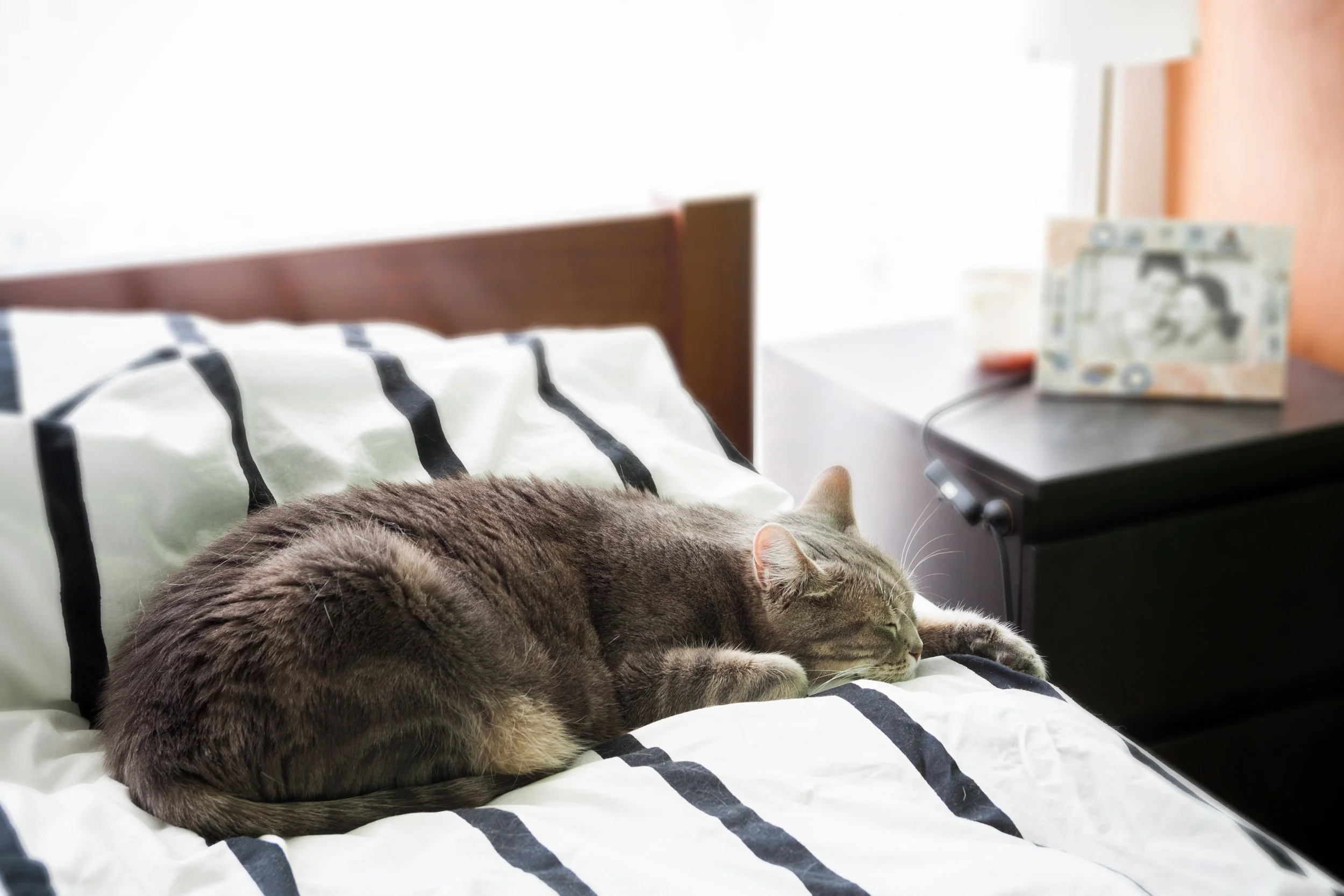 AdobeStock_82121326.jpeg