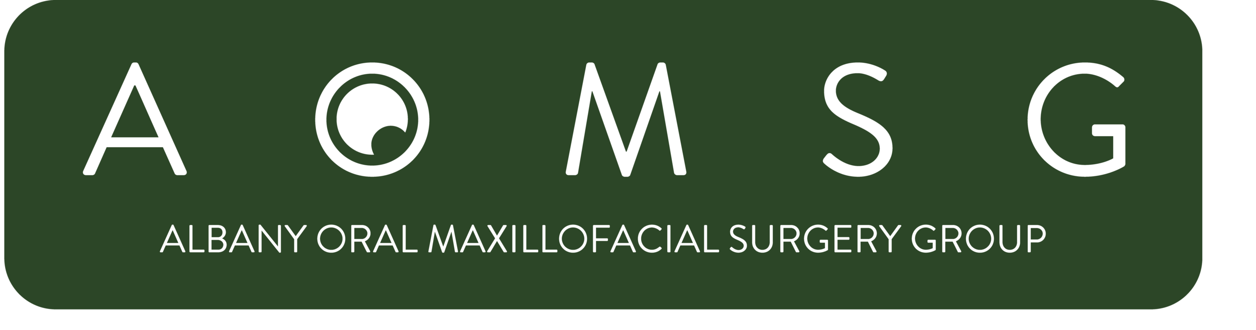 AOMSG_Wordmark_03ai copy.png