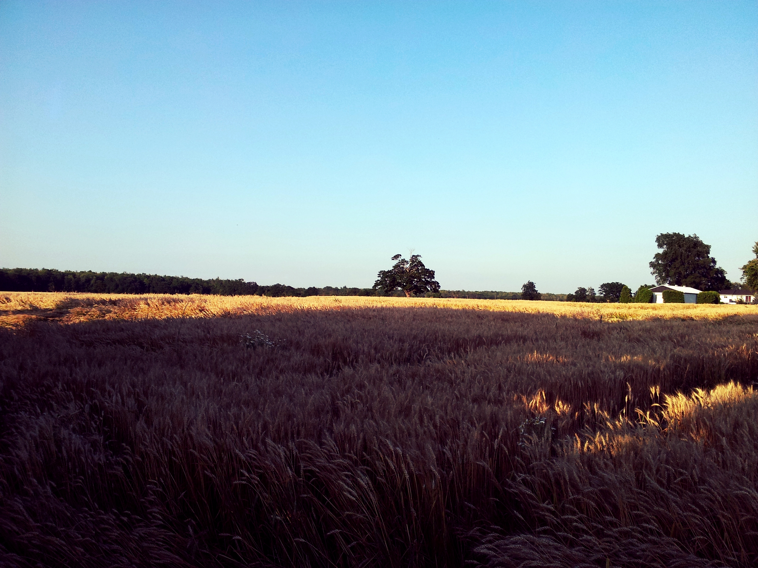 20130711_193246.jpg