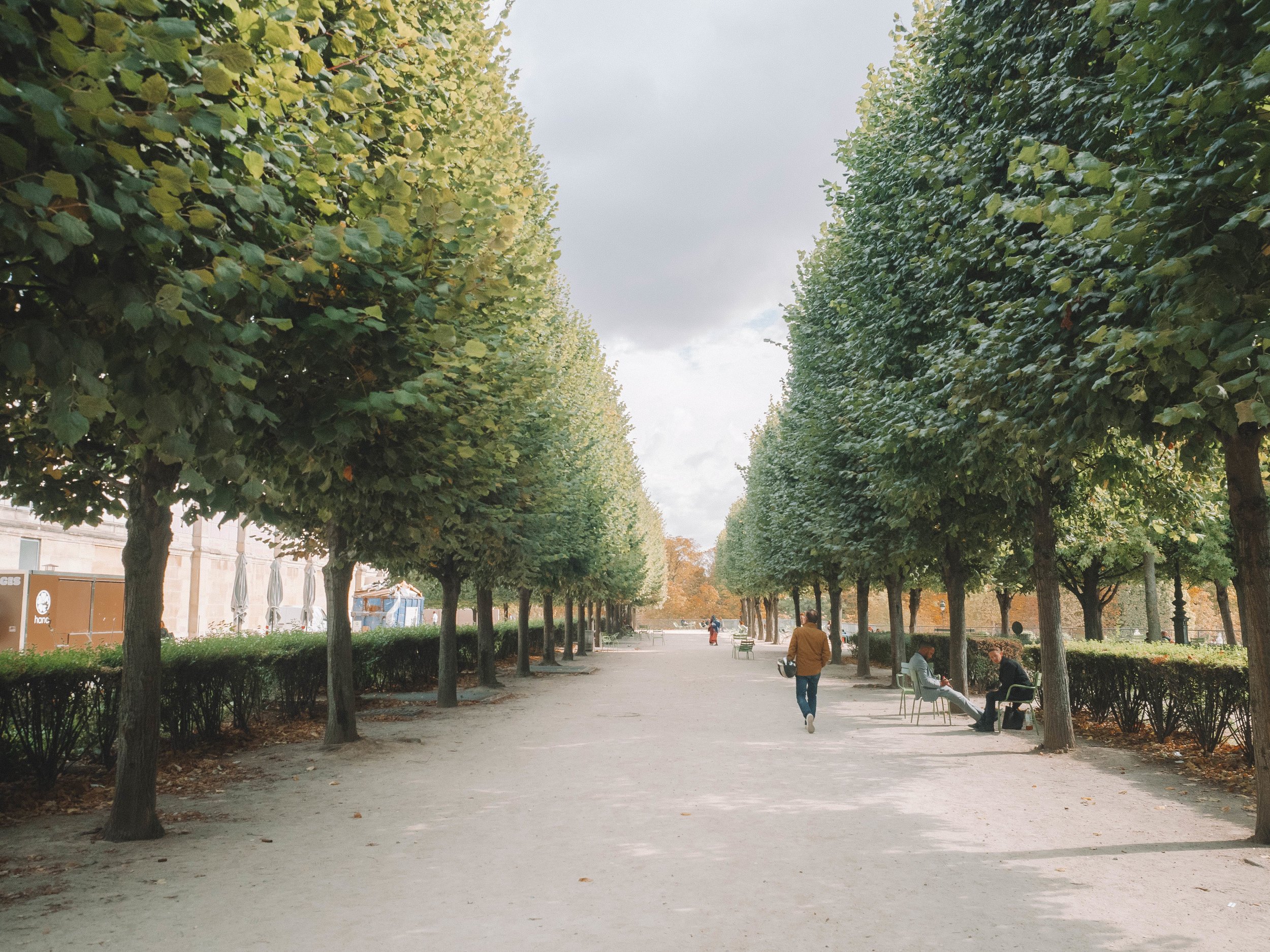 adriftaesthetic_oneday_paris_france_tuileries_trees.jpg